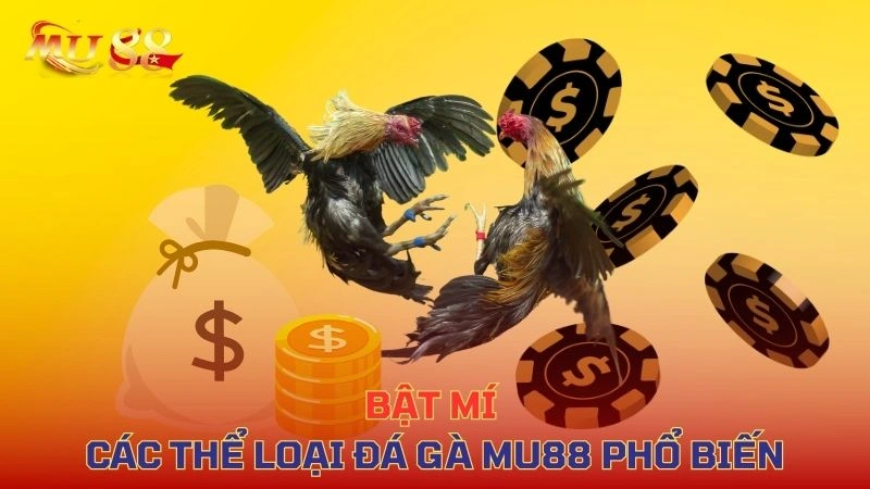 Các hình thức đá gà tại SV88 – Cựa dao, cựa sắt, gà tre