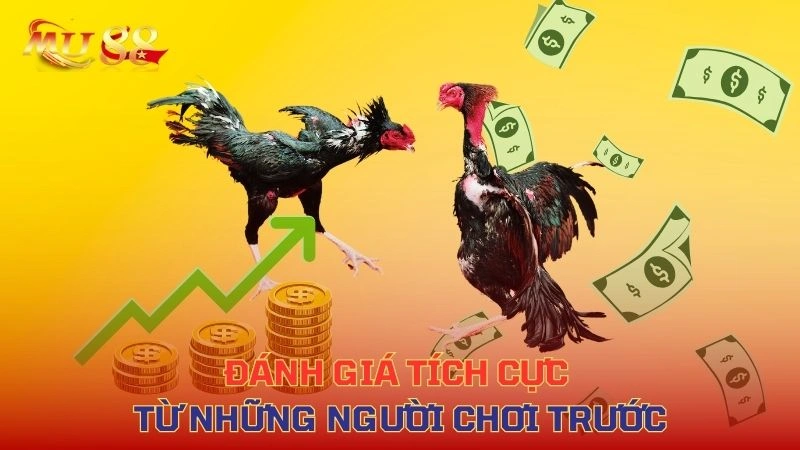 Ưu điểm đá gà SV88 – Trận đấu sắc nét, cược minh bạch, trả thưởng nhanh